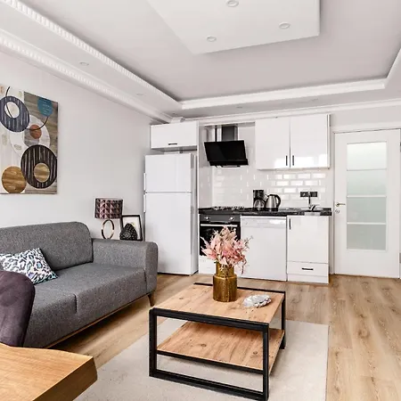 Stylish New With Fast Wifi Lejlighed Istanbul